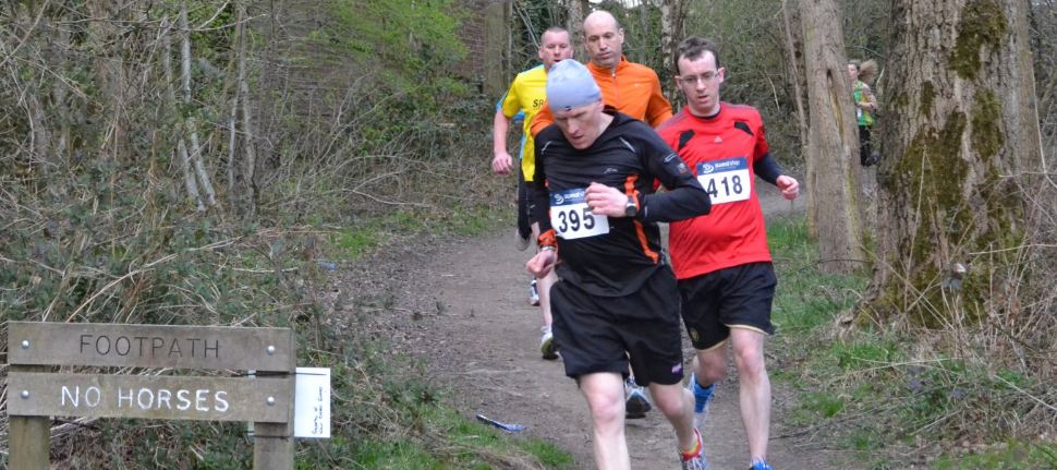 Stride Through the Woods - coming out of the woods at the top of the hill Stride Through the Woods - coming out of the woods at the top of the hill